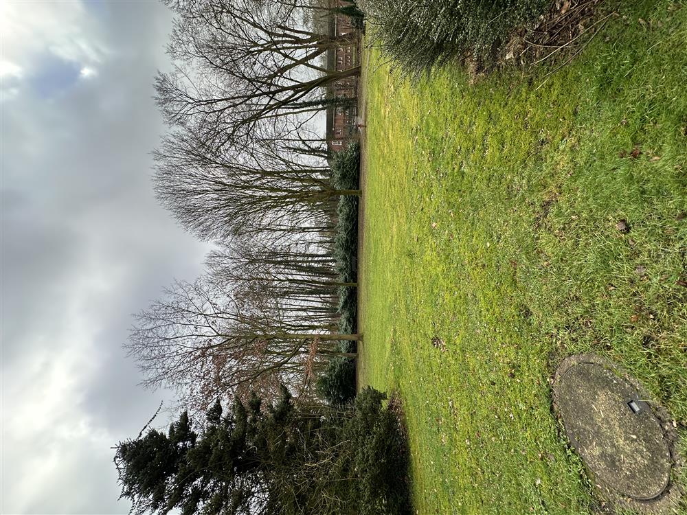 GSG - Wohnungsbaugesellschaft Delmenhorst mbH, Grüner Park mit Bäumen, Wiese und Himmel, gepflegte Freifläche im Stadtgebiet, ruhige Wohnlage, ideal für Erholung und Naturerlebnis, nachhaltige Stadtentwicklung.